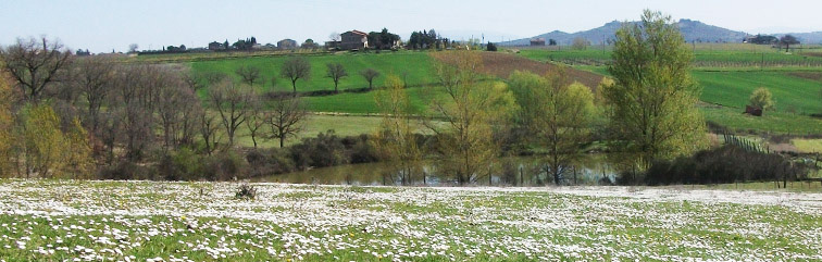 Paesaggio Fontemanna